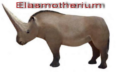 Elasmotherium