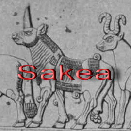 Sakea