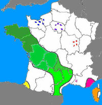 France Dolmens