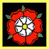 the brit-am rose rose