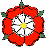 the brit-am rose rose